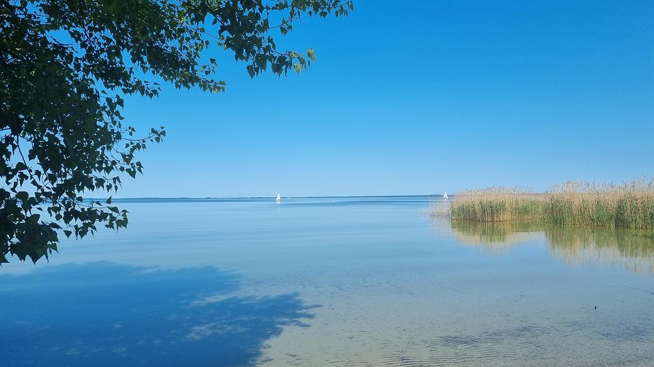 Blick auf einen schilfbedeckten See in Mecklenburg-Vorpommern