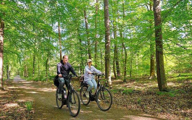 Oliver Kramer und Maike Bäßler fahren auf E-Bikes durch die Rostocker Heide