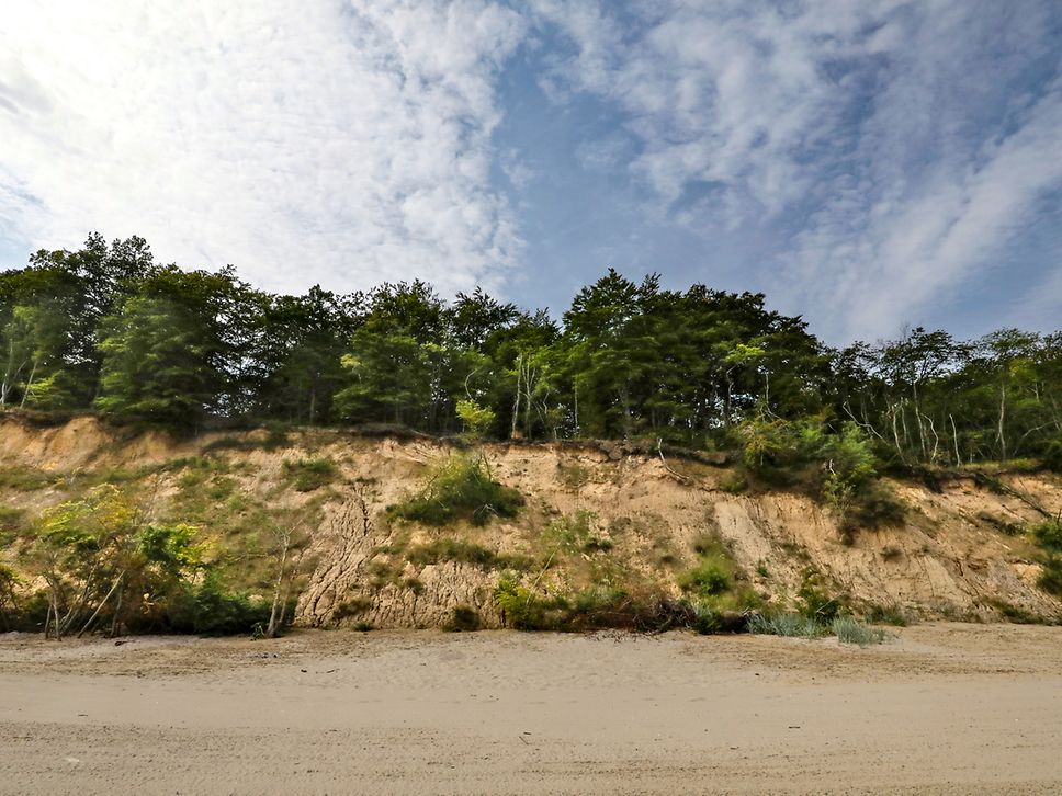 Die baumbestandene Steilküste am Strand des Seebads Bansin 