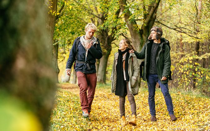 Drei Freunde unterwegs im herbstlich gefärbten Wald 