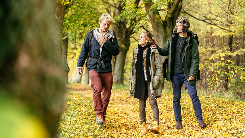 Drei Freunde unterwegs im herbstlich gefärbten Wald 